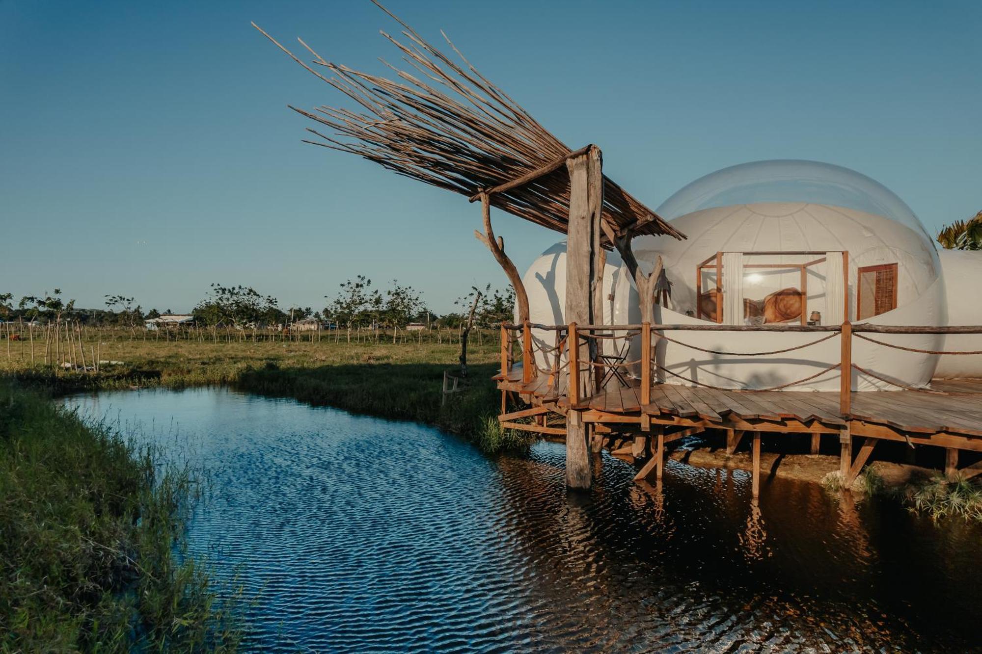 Green Land Bubble Glamping By Mint كاباريتي الغرفة الصورة