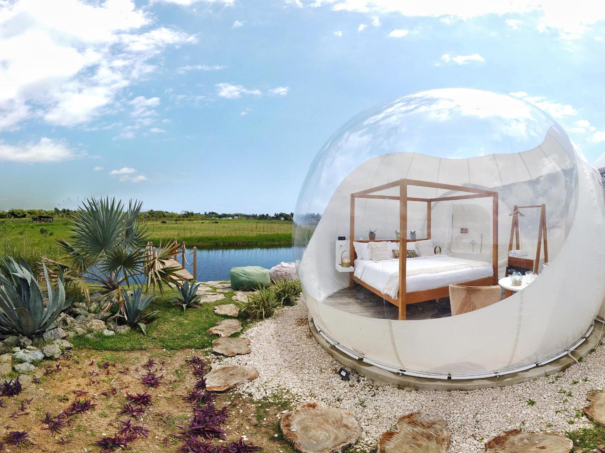 Green Land Bubble Glamping By Mint كاباريتي الغرفة الصورة