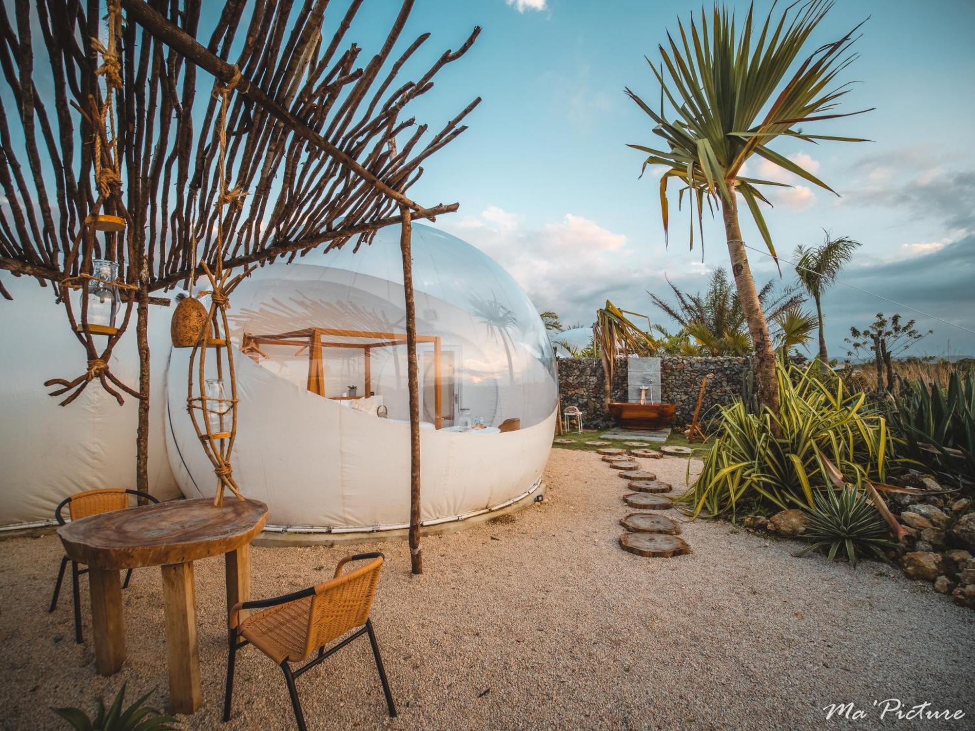Green Land Bubble Glamping By Mint كاباريتي الغرفة الصورة