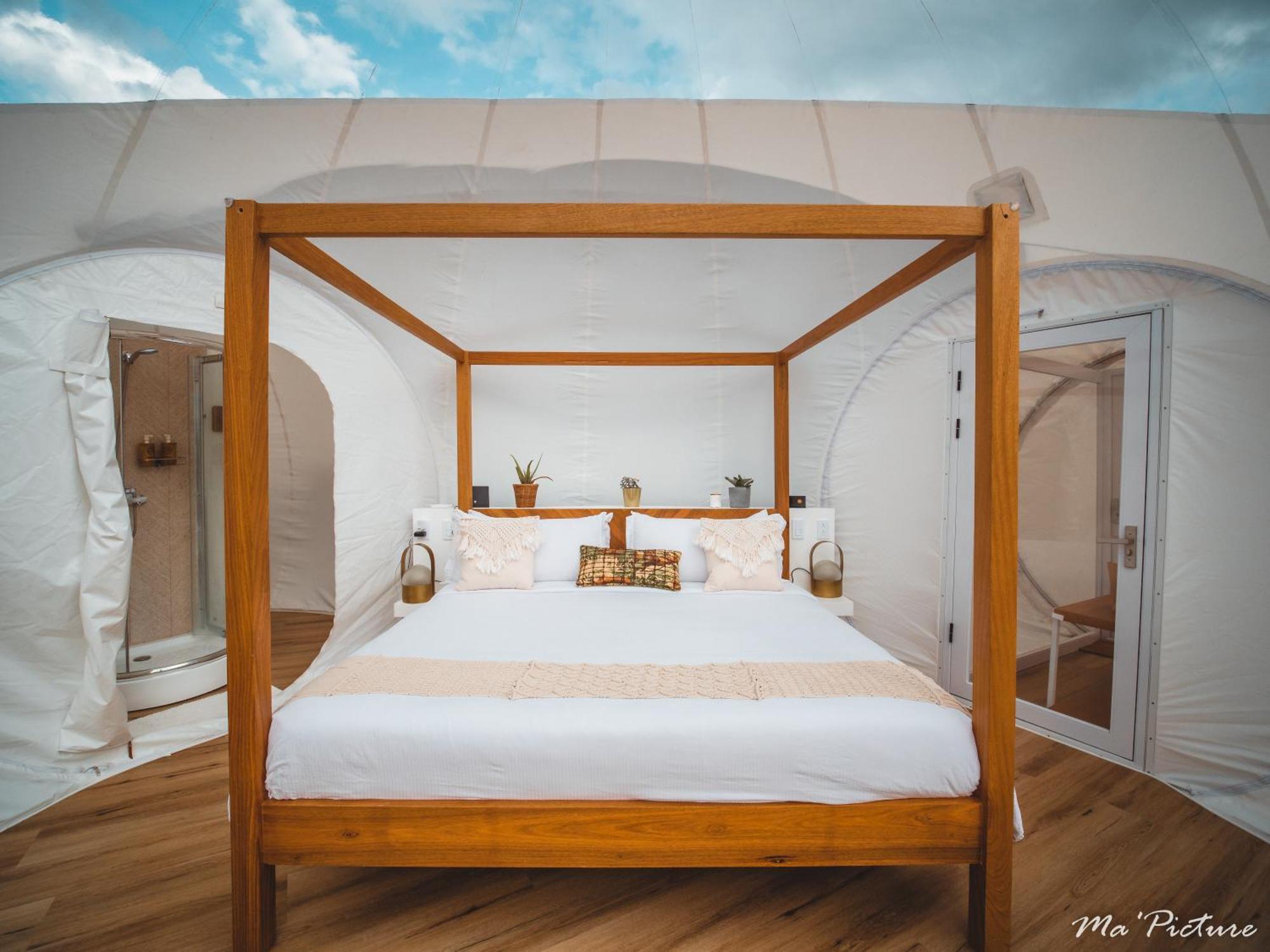 Green Land Bubble Glamping By Mint كاباريتي الغرفة الصورة