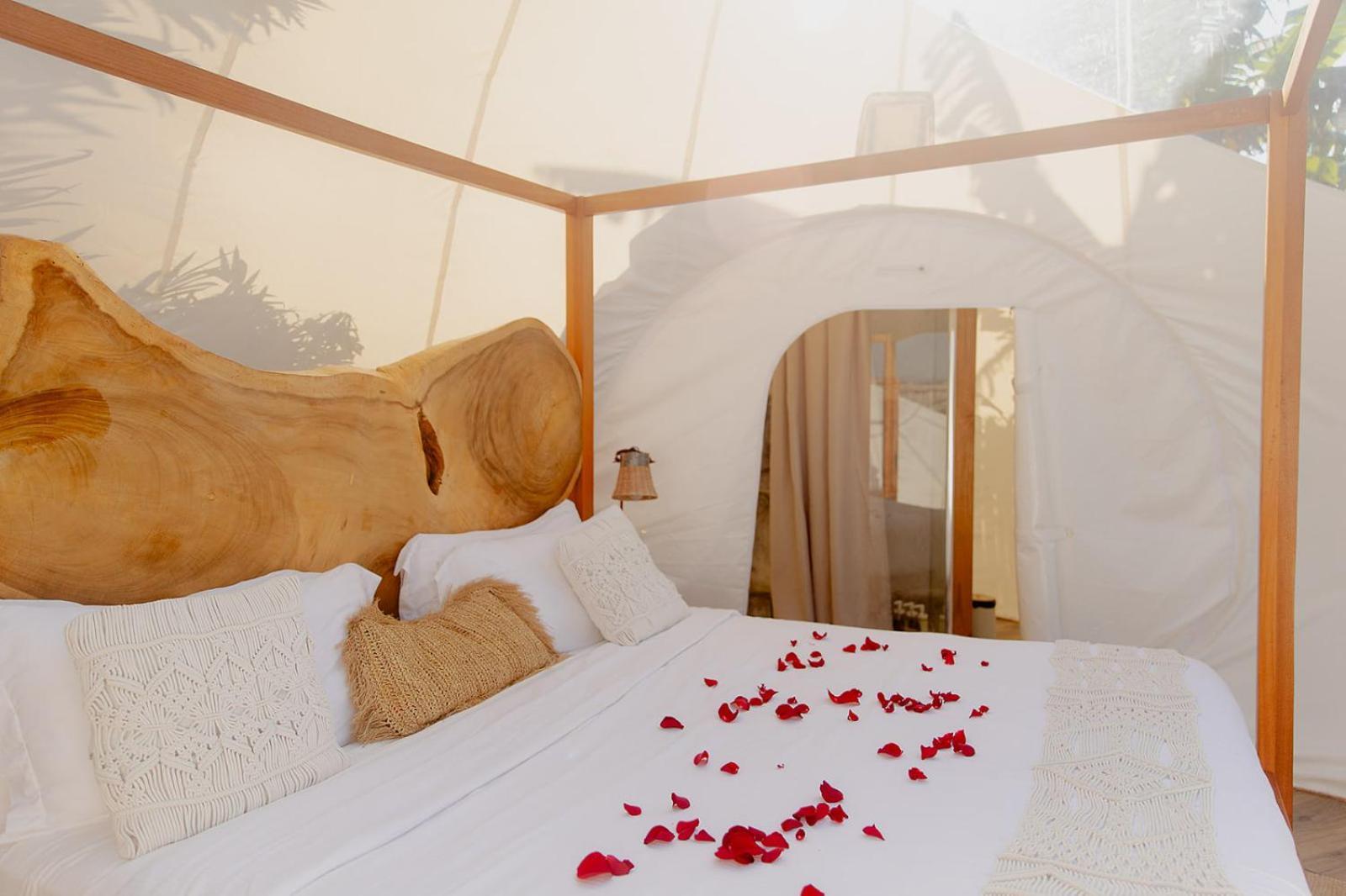 Green Land Bubble Glamping By Mint كاباريتي المظهر الخارجي الصورة