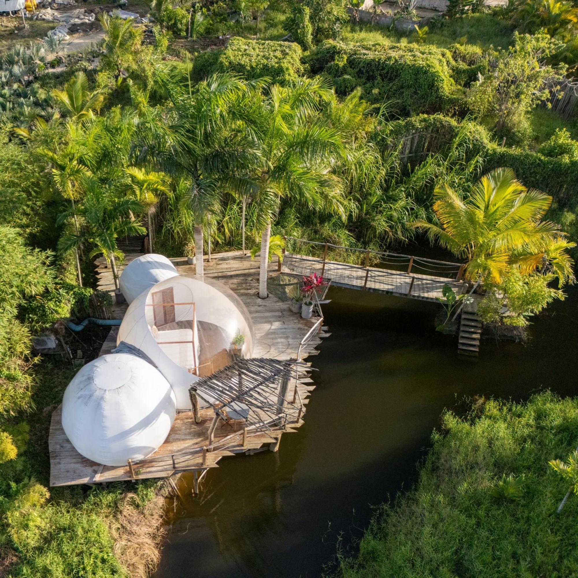 Green Land Bubble Glamping By Mint كاباريتي المظهر الخارجي الصورة