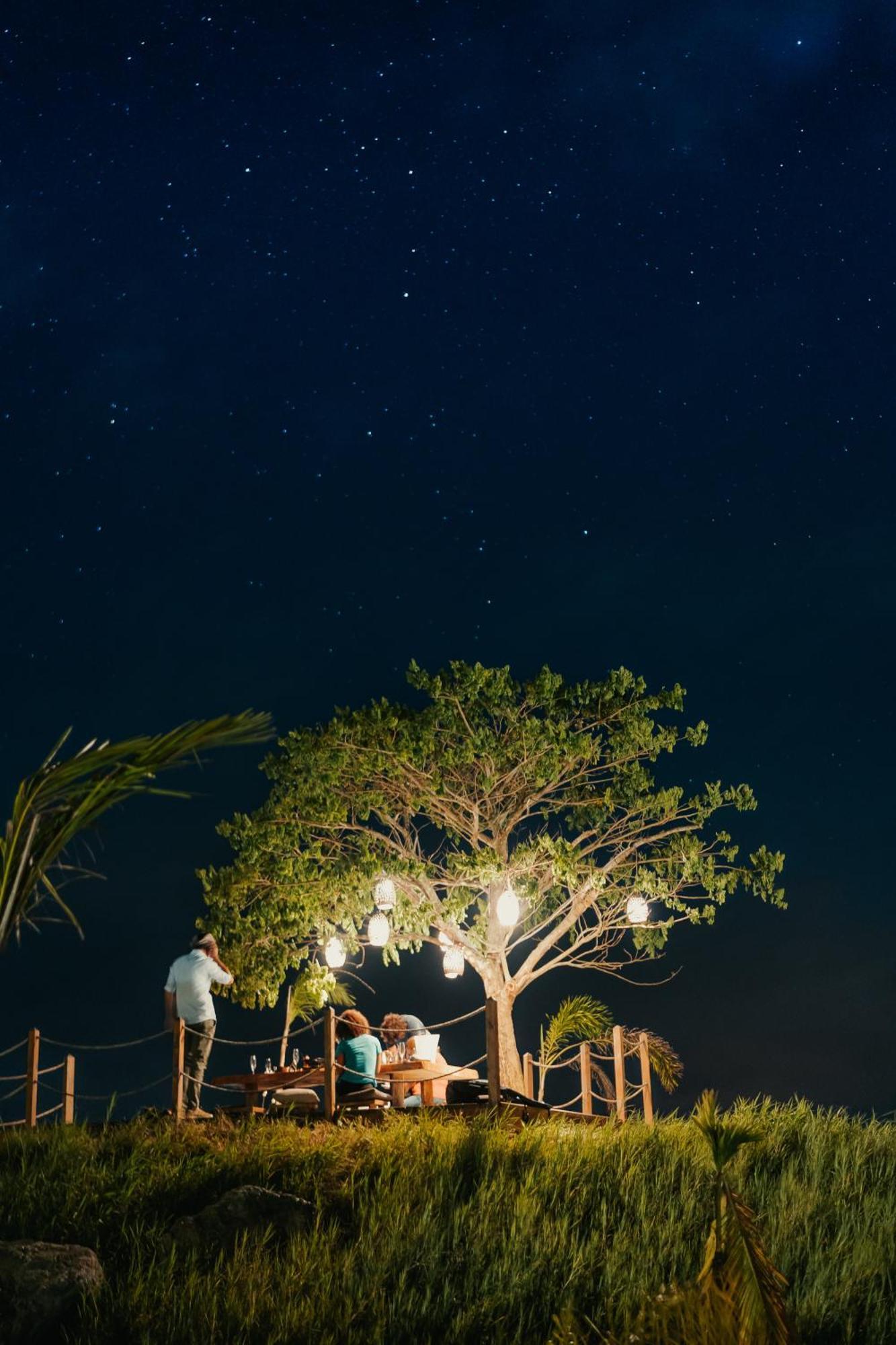 Green Land Bubble Glamping By Mint كاباريتي المظهر الخارجي الصورة